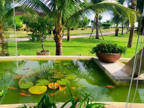 Imagen general del Hotel Bao Ninh Resort. Foto 3