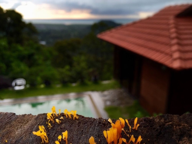 Imagen de los exteriores del Hotel Bao Sheng Durian Farm. Foto 13
