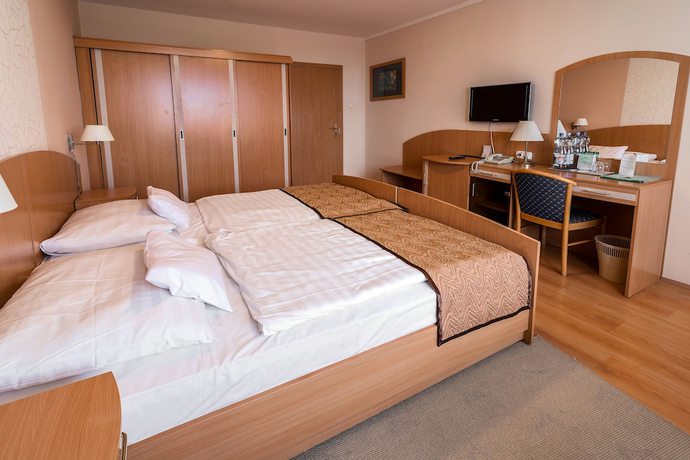 Imagen de la habitación del Hotel Bar&aacute;ts&aacute;g Hajd&uacute;szoboszl&oacute; Superior. Foto 4