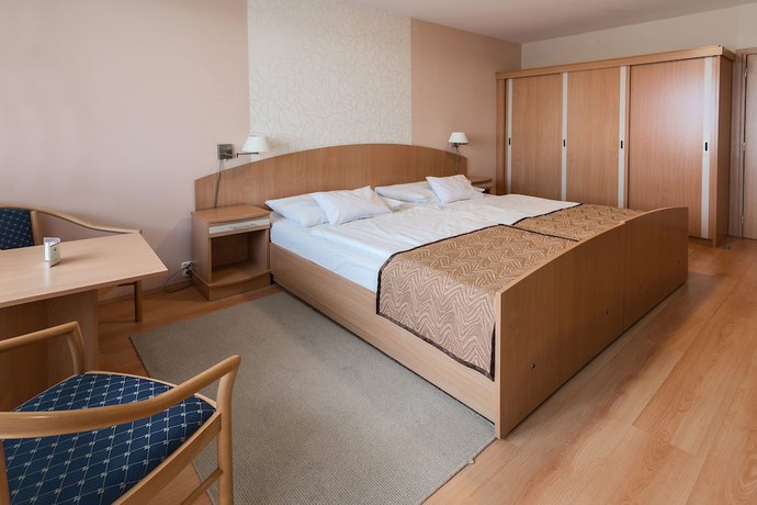 Imagen de la habitación del Hotel Bar&aacute;ts&aacute;g Hajd&uacute;szoboszl&oacute; Superior. Foto 10