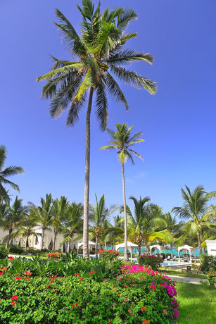 Imagen de los exteriores del Hotel Baraza Resort and Spa Zanzibar. Foto 13