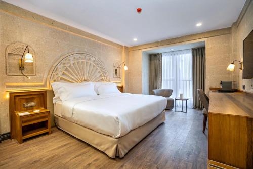 Imagen de la habitación del Hotel Barcel&oacute; Cappadocia. Foto 20