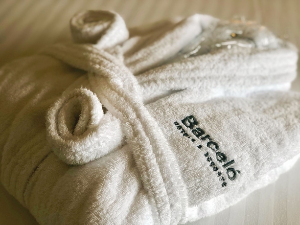 Imagen de la habitación del Hotel Barceló Warsaw Powiśle. Foto 3