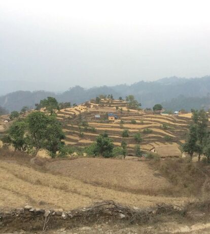 Imagen general del Hotel Bardia Jungle Cottage. Foto 9