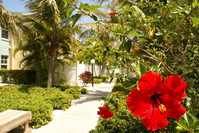 Imagen de los exteriores del Hotel Barefoot Beach Resort. Foto 6