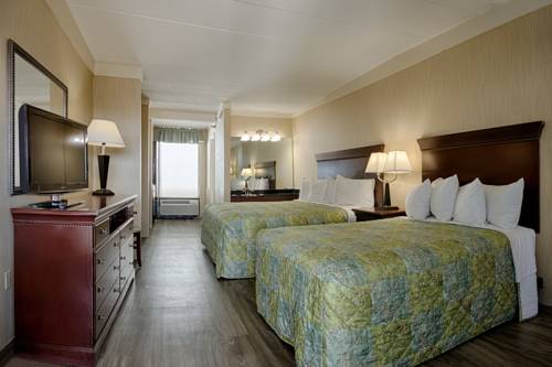 Imagen de la habitación del Hotel Barefoot Mailman. Foto 7