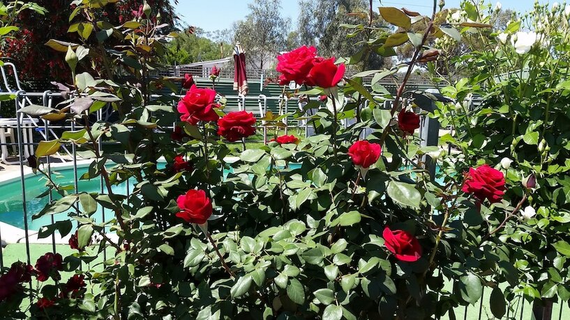 Imagen general del Hotel Barham Colonial MotelB. Foto 3