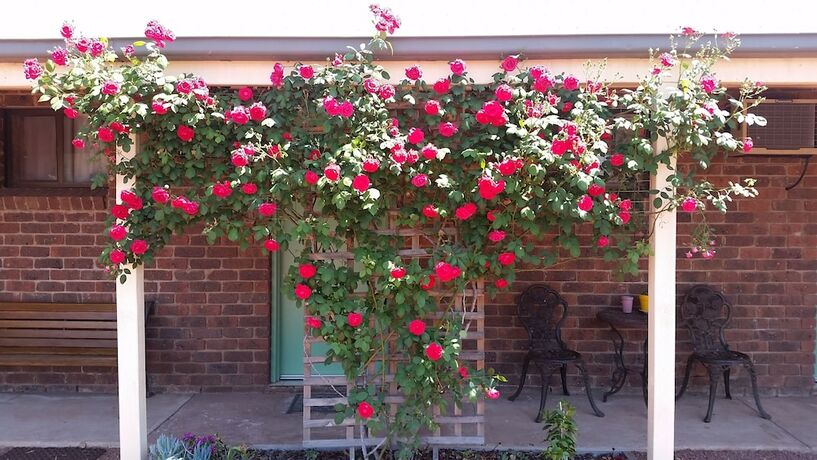 Imagen general del Hotel Barham Colonial MotelB. Foto 7