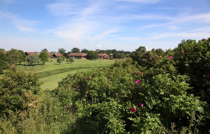 Imagen general del Hotel Barnham Broom , Golf and Spa. Foto 3