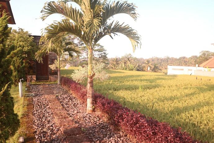 Imagen general del Hotel Barong Bali Resort Ubud. Foto 12