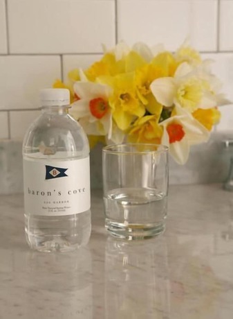 Imagen de la habitación del Hotel Baron\'s Cove. Foto 6