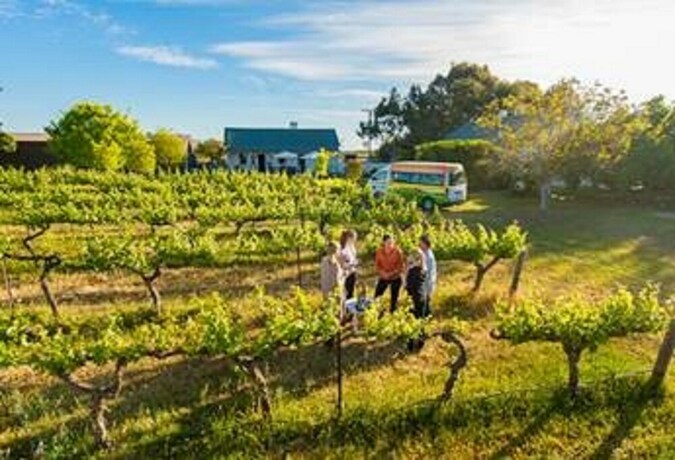 Imagen de los exteriores del Hotel Barossa Best. Foto 16