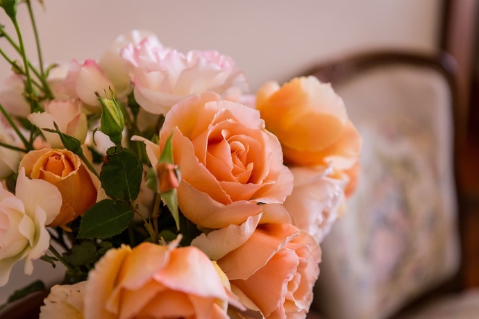 Imagen de los interiores del Hotel Barossa House. Foto 18