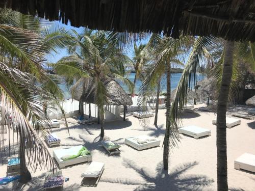 Imagen general del Hotel Barracuda Inn Resort. Foto 1