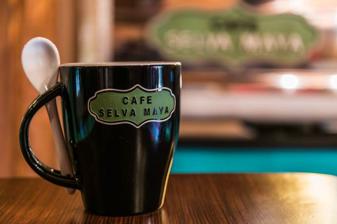 Imagen del bar/restaurante del Hotel Barrancas del Cobre by Balderrama Collection. Foto 7