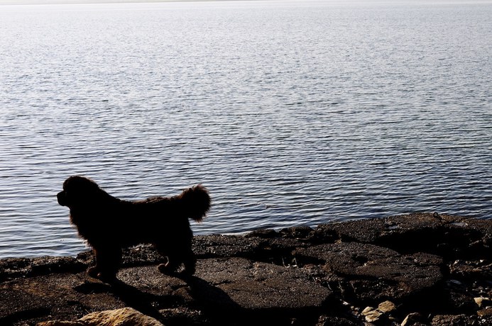 Imagen de la habitación del Hotel Barrow Lodge. Foto 5