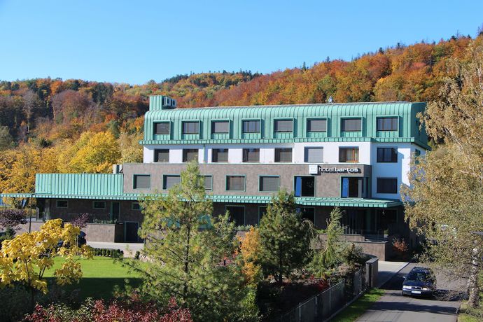 Imagen de la habitación del Hotel Barto&scaron;, FREN&Scaron;T&Aacute;T POD RADHO&Scaron;TĚM. Foto 9
