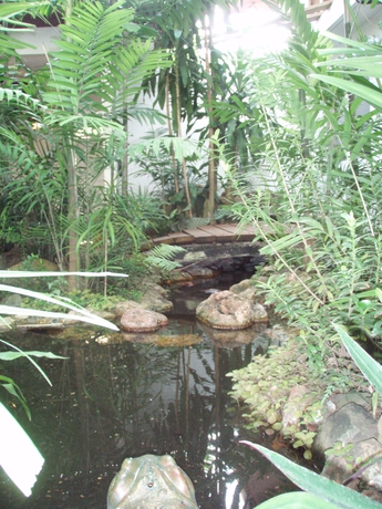 Imagen de los exteriores del Hotel Baru Lodge Panama. Foto 4
