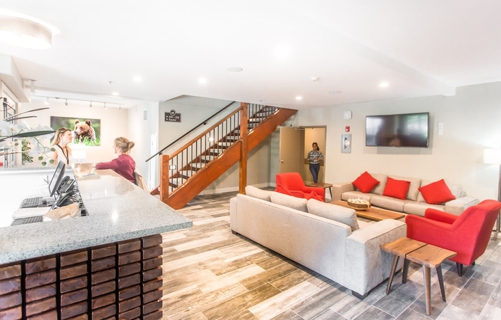 Imagen de los interiores del Hotel Basecamp Lodge. Foto 18