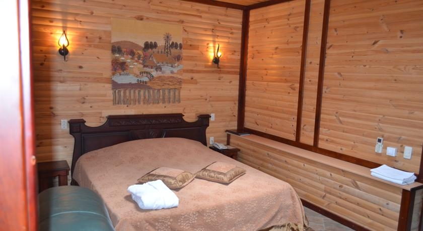 Imagen de la habitación del Hotel Bashnya. Foto 9