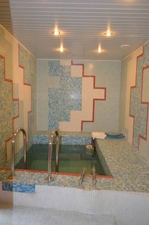 Imagen de la piscina del Hotel Bashnya. Foto 19