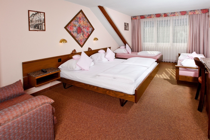 Imagen de la habitación del Hotel Baslertor Summer Pool. Foto 6