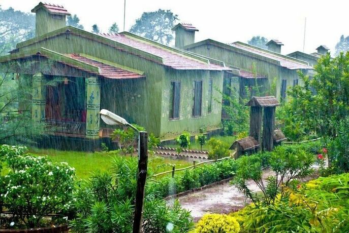 Imagen general del Hotel Bastar Jungle Resort. Foto 6