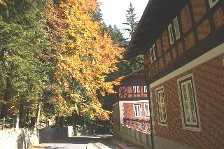 Imagen general del Hotel Bastion, SINAIA. Foto 35