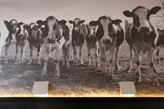 Imagen de la habitación del Hotel Bastion Utrecht. Foto 14