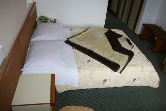 Imagen de la habitación del Hotel Bat Bistrica. Foto 6