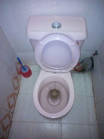 Imagen de la habitación del Hotel Batian Guest. Foto 6