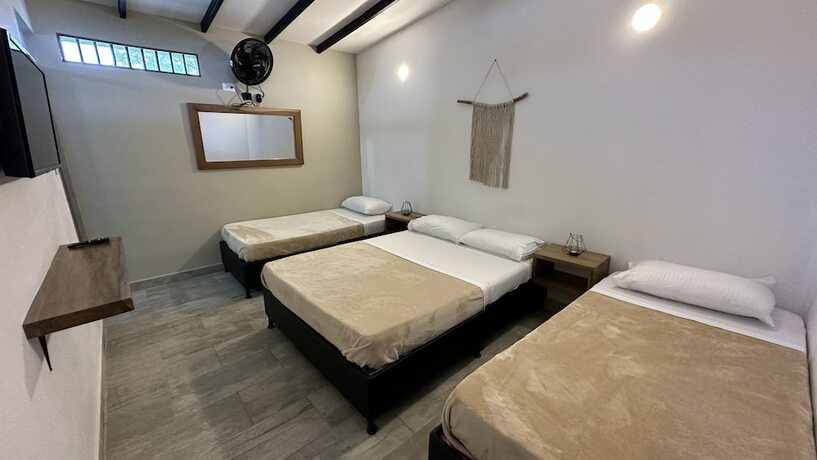 Imagen de la habitación del Hotel Baum hotel. Foto 14