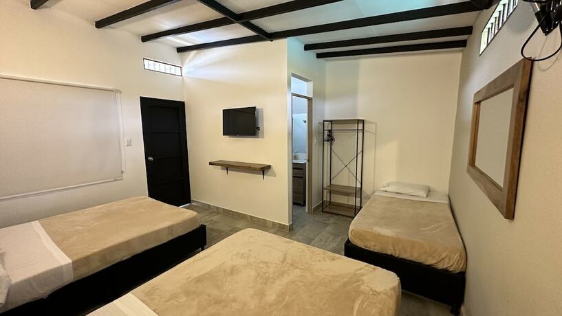 Imagen de la habitación del Hotel Baum hotel. Foto 15