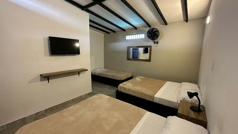 Imagen de la habitación del Hotel Baum hotel. Foto 16