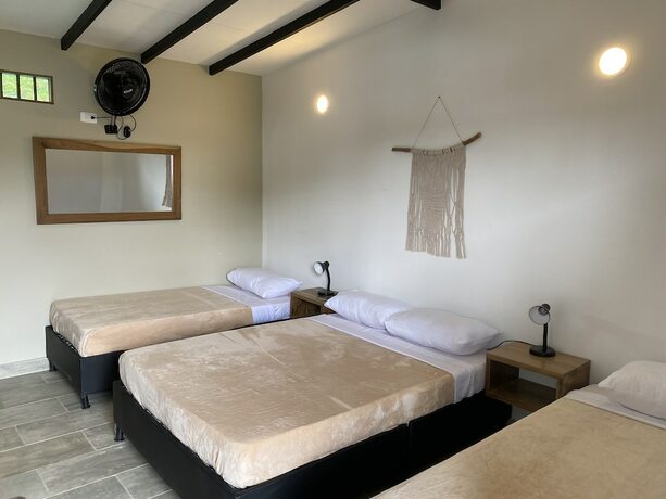 Imagen de la habitación del Hotel Baum hotel. Foto 18