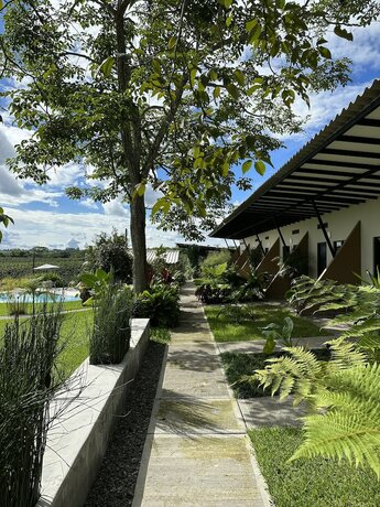 Imagen general del Hotel Baum hotel. Foto 10
