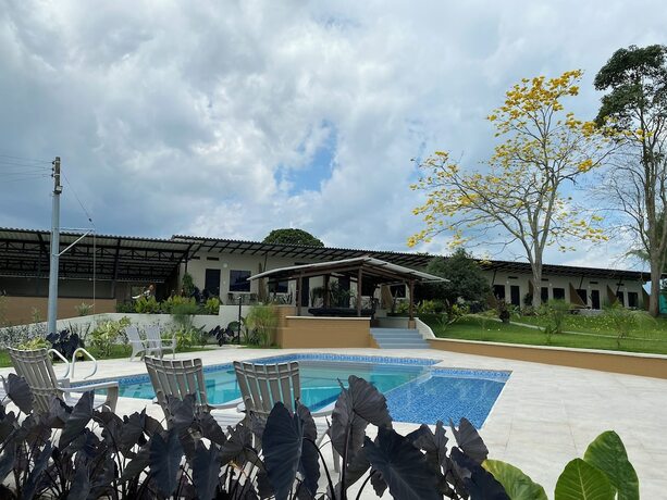 Imagen general del Hotel Baum hotel. Foto 12