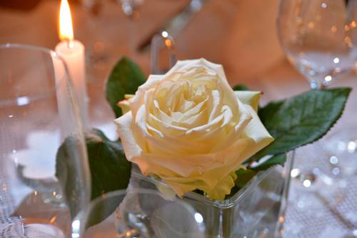 Imagen de la habitación del Hotel Baumgarten. Foto 8