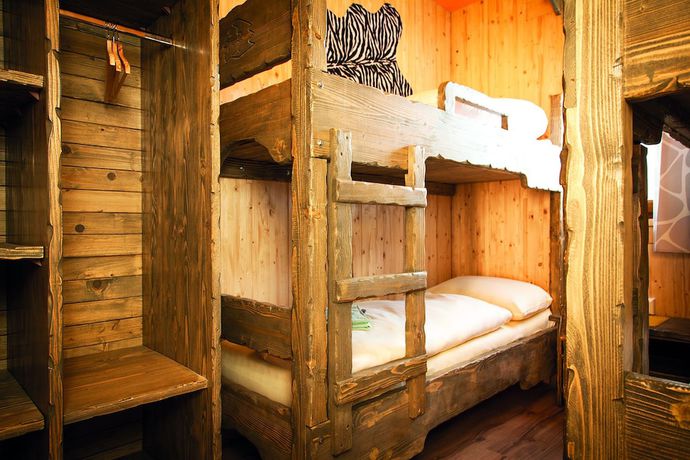 Imagen de la habitación del Hotel Baumhotel Styrassic Park. Foto 13