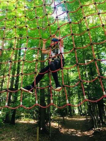 Imagen general del Hotel Baumhotel Styrassic Park. Foto 2