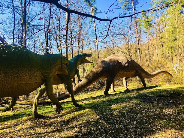 Imagen general del Hotel Baumhotel Styrassic Park. Foto 7