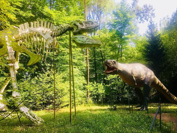 Imagen general del Hotel Baumhotel Styrassic Park. Foto 8