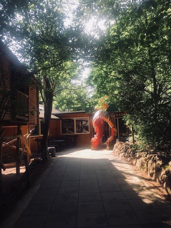 Imagen de los exteriores del Hotel Baumhotel Styrassic Park. Foto 17