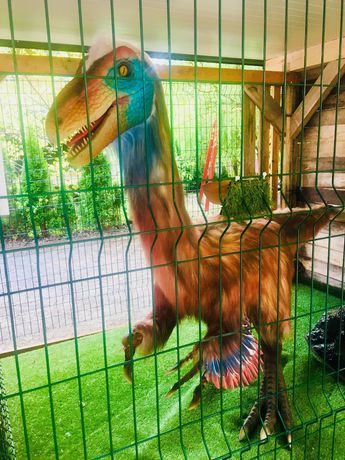 Imagen general del Hotel Baumhotel Styrassic Park. Foto 4