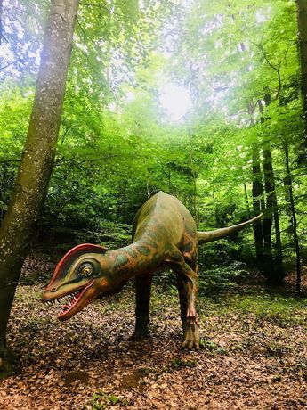 Imagen general del Hotel Baumhotel Styrassic Park. Foto 9