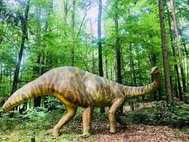 Imagen general del Hotel Baumhotel Styrassic Park. Foto 10