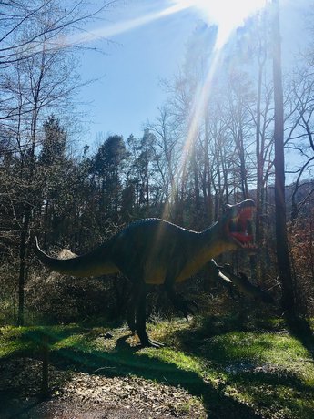 Imagen general del Hotel Baumhotel Styrassic Park. Foto 11