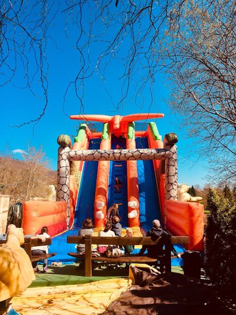 Imagen general del Hotel Baumhotel Styrassic Park. Foto 5