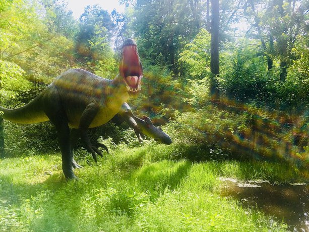 Imagen general del Hotel Baumhotel Styrassic Park. Foto 12