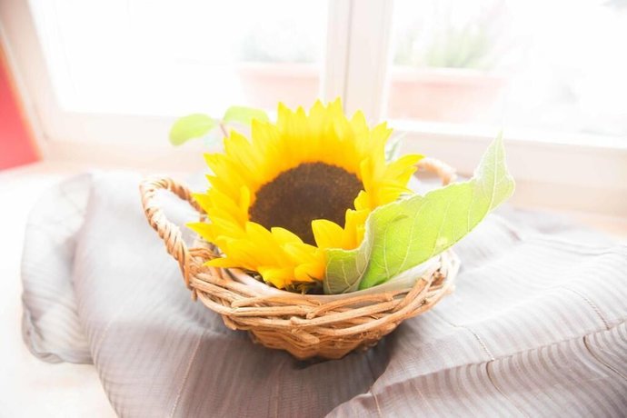 Imagen de la habitación del Hotel B&auml;ren, Rupperswil. Foto 10